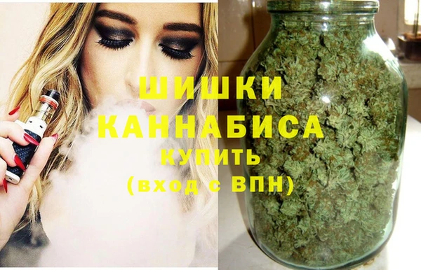 сатива Володарск